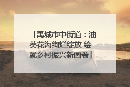 禹城市中街道：油葵花海绚烂绽放 绘就乡村振兴新画卷